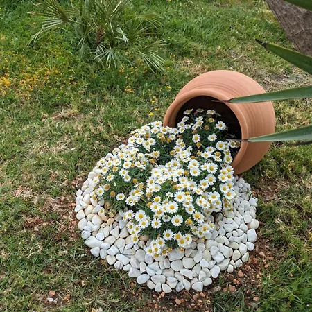 Con Piscina, Barbacoa Y Jacuzzi En Valencia Prázdninový dům *
